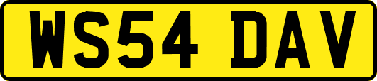 WS54DAV