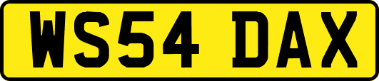 WS54DAX