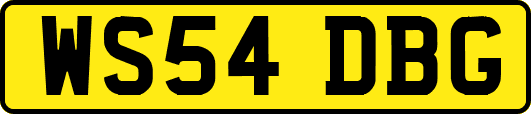 WS54DBG
