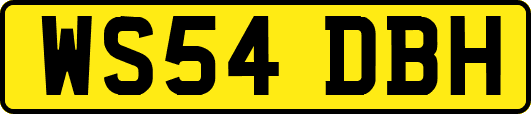 WS54DBH