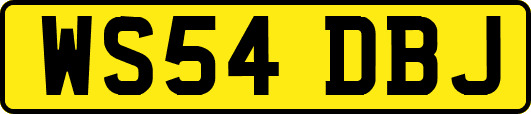 WS54DBJ