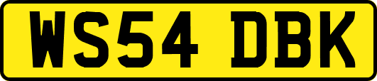 WS54DBK