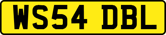 WS54DBL