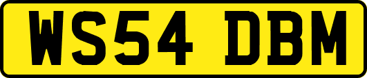 WS54DBM