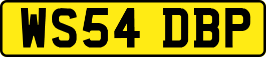 WS54DBP