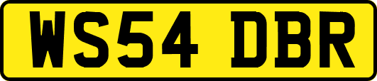 WS54DBR