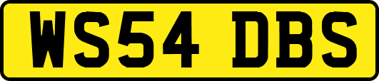 WS54DBS