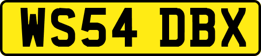 WS54DBX