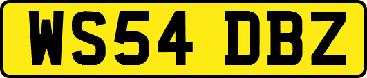 WS54DBZ