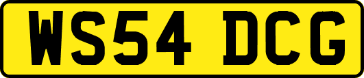 WS54DCG