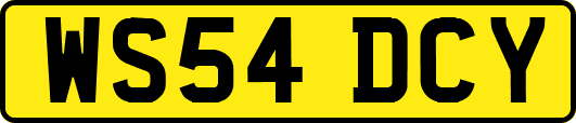 WS54DCY
