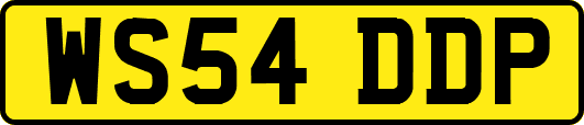WS54DDP