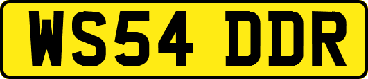 WS54DDR