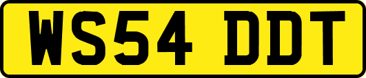 WS54DDT