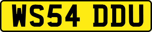 WS54DDU