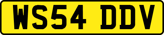 WS54DDV