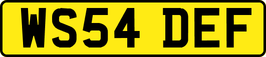 WS54DEF