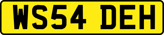 WS54DEH