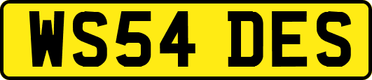 WS54DES