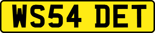 WS54DET