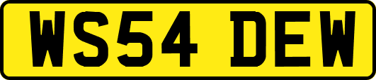 WS54DEW