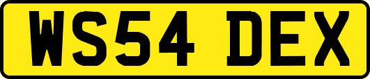 WS54DEX