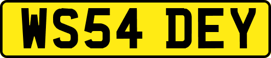 WS54DEY