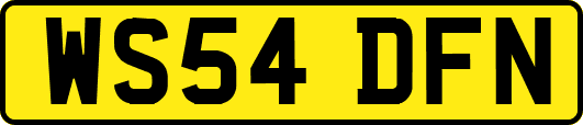 WS54DFN