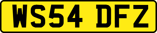 WS54DFZ