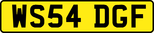 WS54DGF