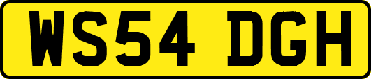 WS54DGH