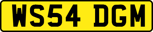 WS54DGM