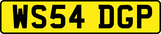 WS54DGP