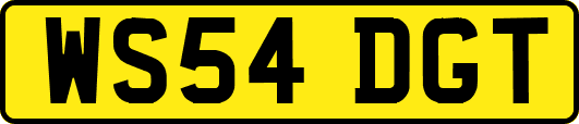 WS54DGT