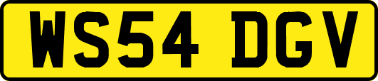 WS54DGV