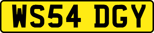 WS54DGY