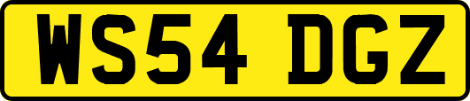WS54DGZ