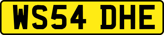 WS54DHE