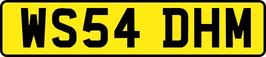 WS54DHM