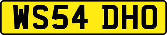 WS54DHO