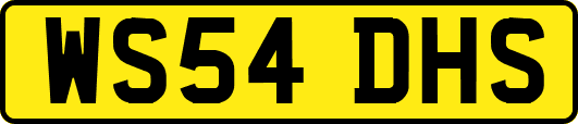 WS54DHS