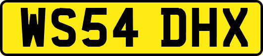 WS54DHX