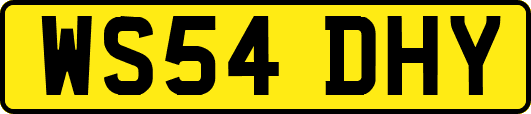 WS54DHY
