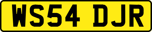 WS54DJR