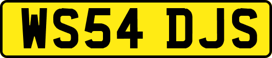WS54DJS