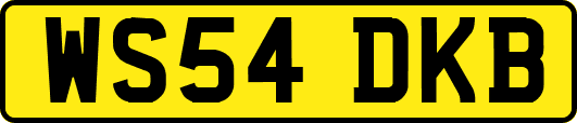 WS54DKB
