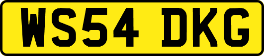 WS54DKG