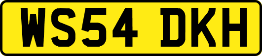 WS54DKH