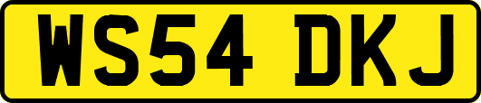WS54DKJ