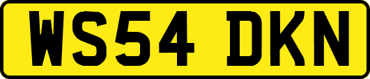 WS54DKN
